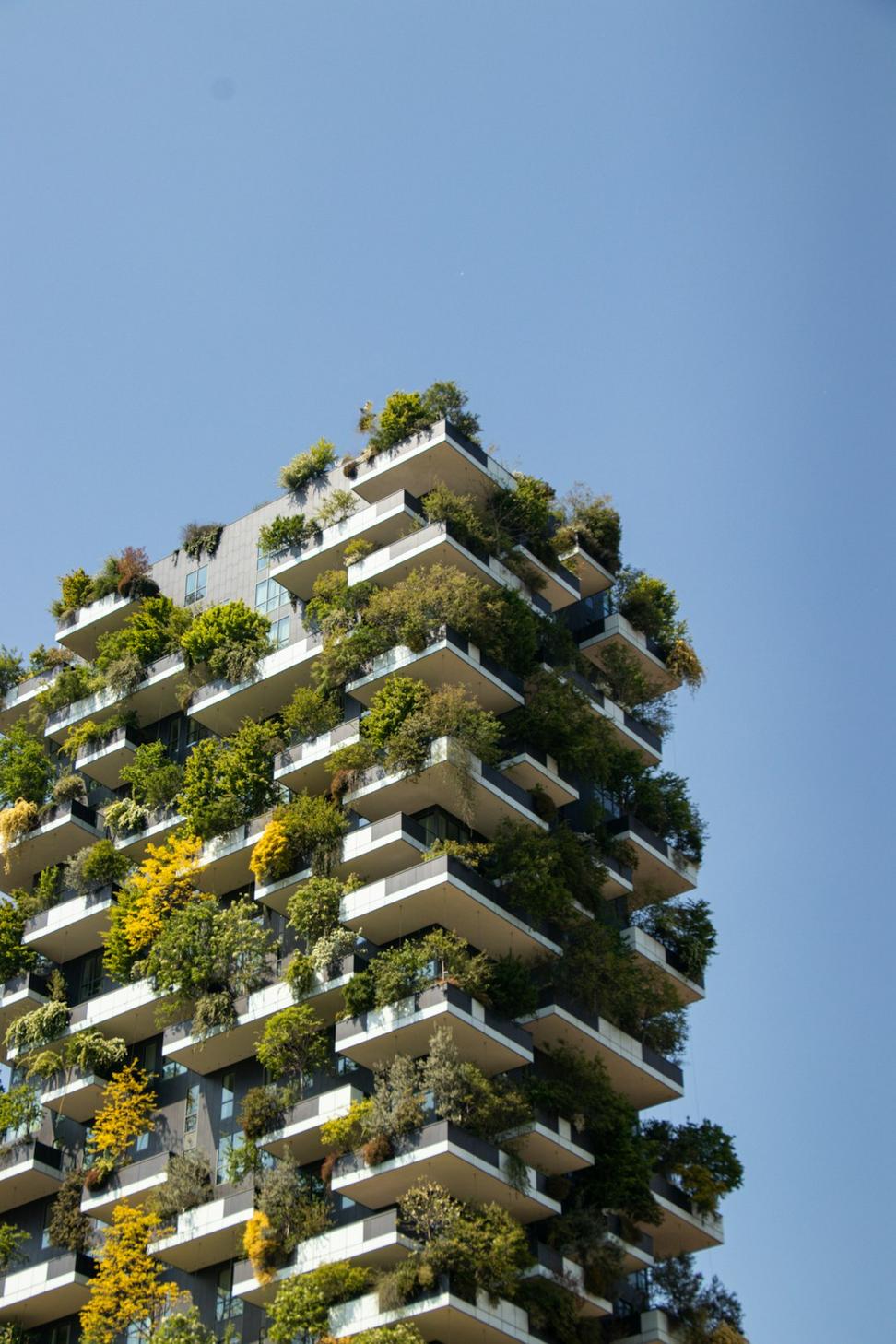 Sustainable Architecture Studio