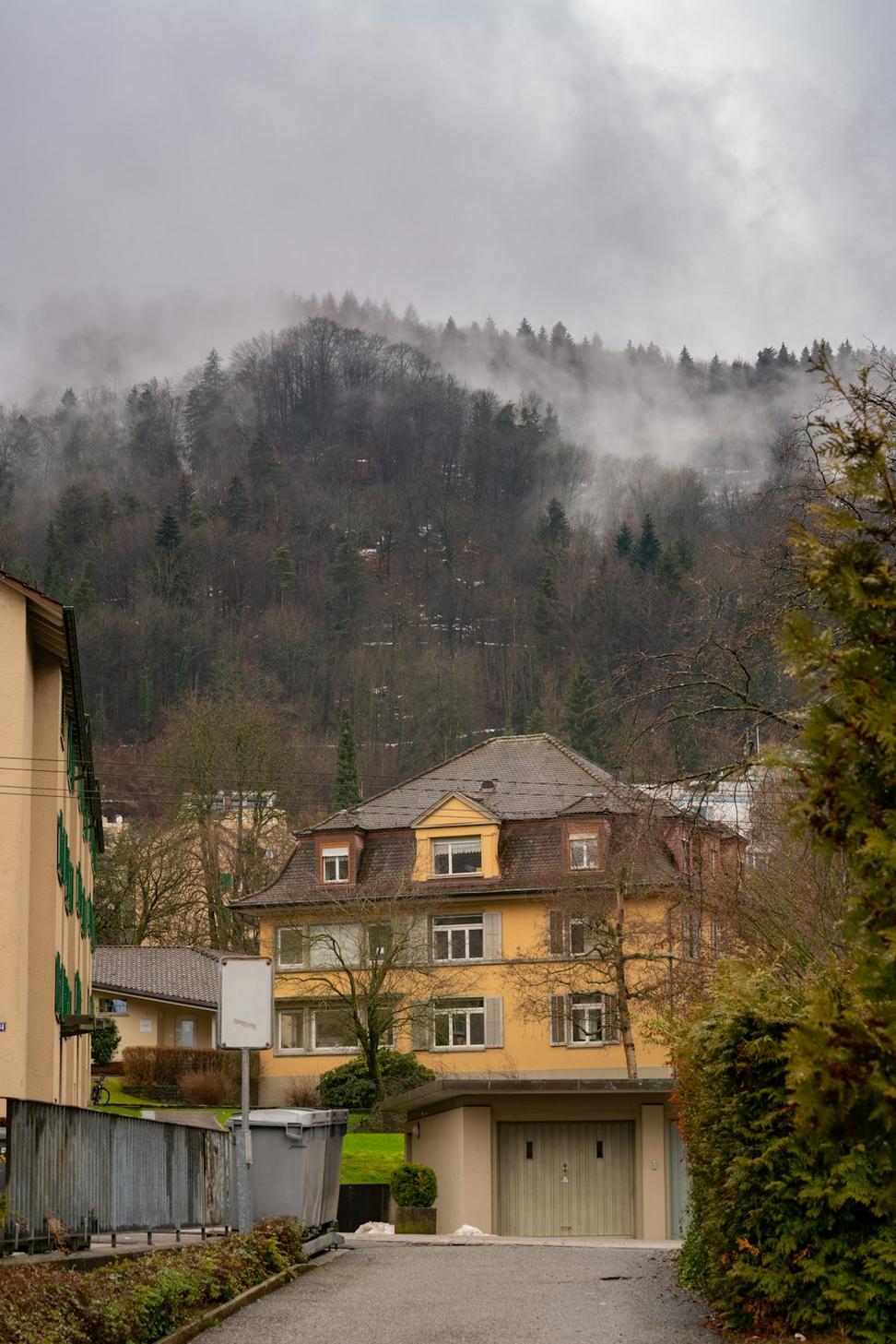 Whistler Mountain Retreat